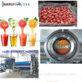 Automatische Apfelbirnensaft -Verarbeitungslinie